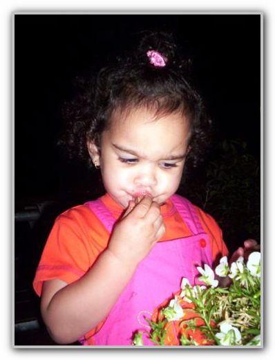 Ebony Inglewood Hotel 2006 1